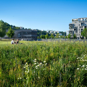 Confluences, jardins aquatiques - © Laurence Danière - Métropole de Lyon